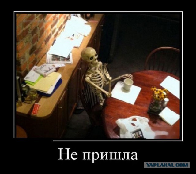 Баяны в чёрных рамках