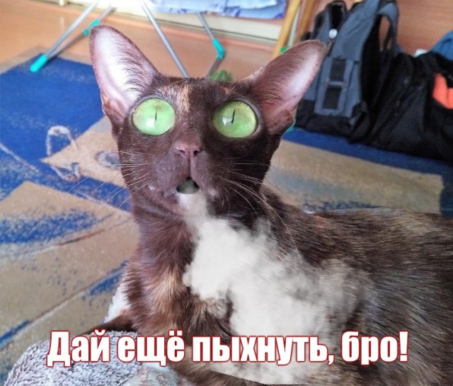 Немного деграданса - 8