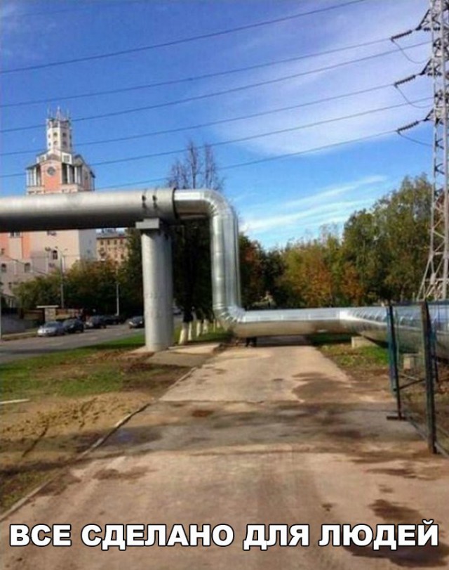 Немного картинок