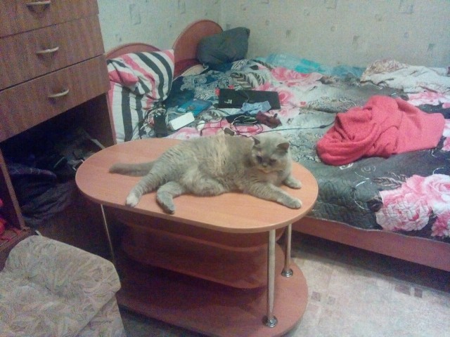 Замуж хотим? Ага, конечно!