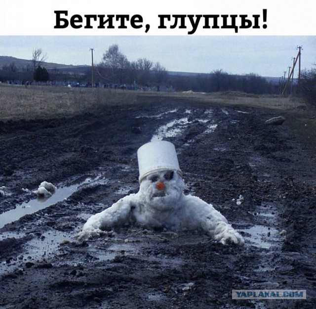 Итоги проверки пользователей