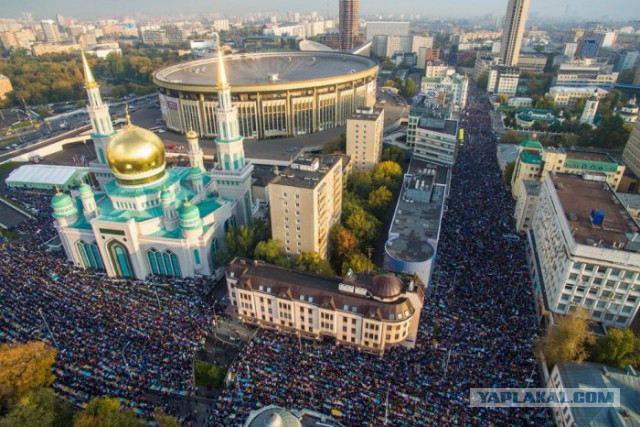 Во Францию скататься не успел. Уже и не поеду.