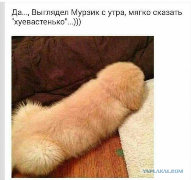 Всякие картинки