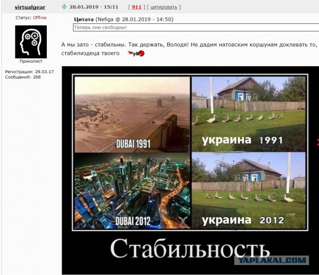 Теперь они свободны!
