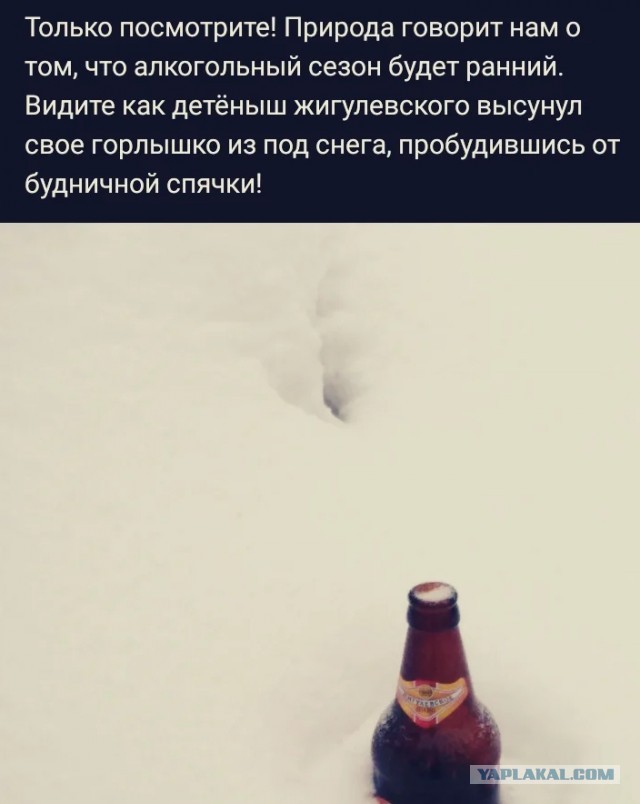 Бредзона 04.03.2020
