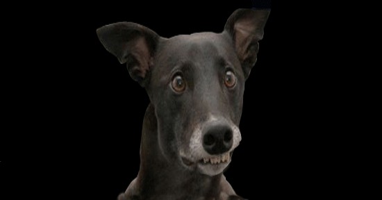 Пуля