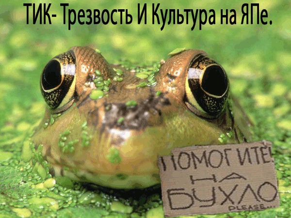 Помогите на бухло