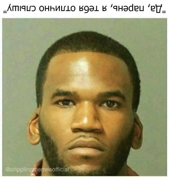 Весёлый полтишок 1.04