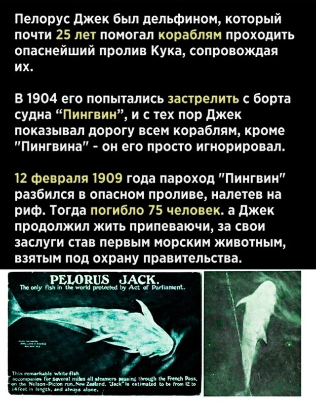 Всякие картинки
