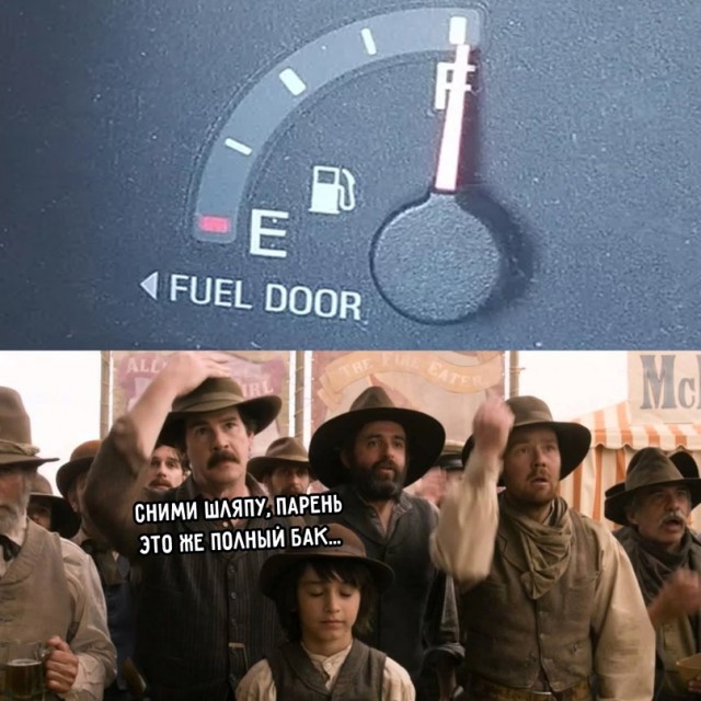 16037898.jpg