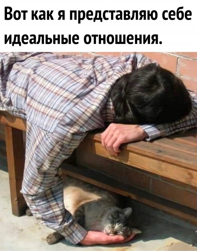 Немного картинок для настроения/постпраздничное