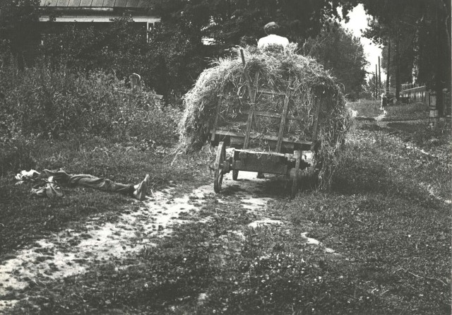 Фотограф Борис Михалевкин: тихая жизнь