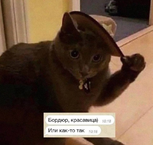 Всего понемногу, от 21.05