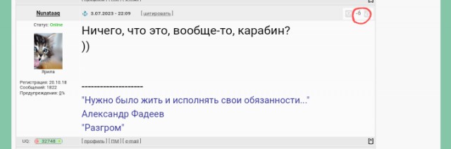 Видавшая виды винтовка Мосина