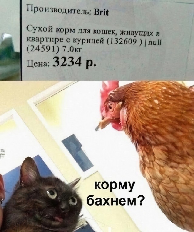 Так себе картинки 02.09.23