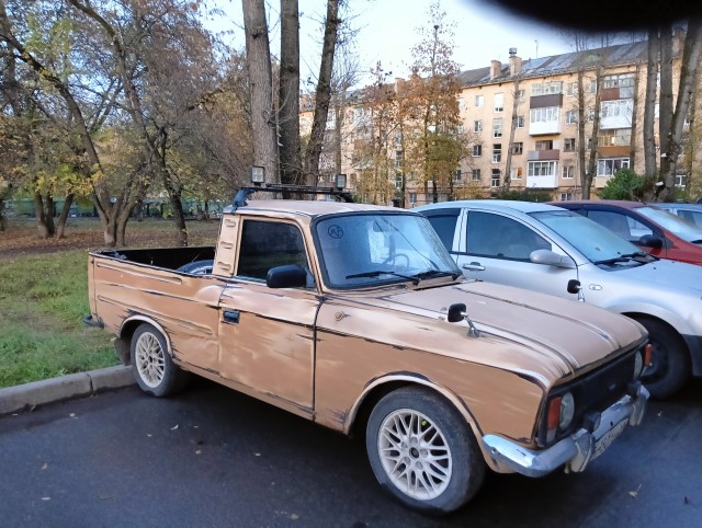 Прикольный окрас