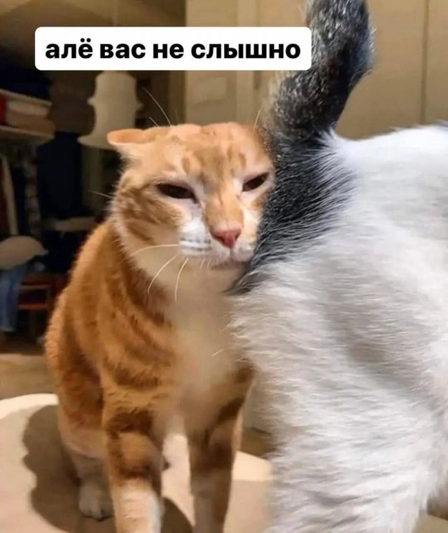 Маленькая пятница.