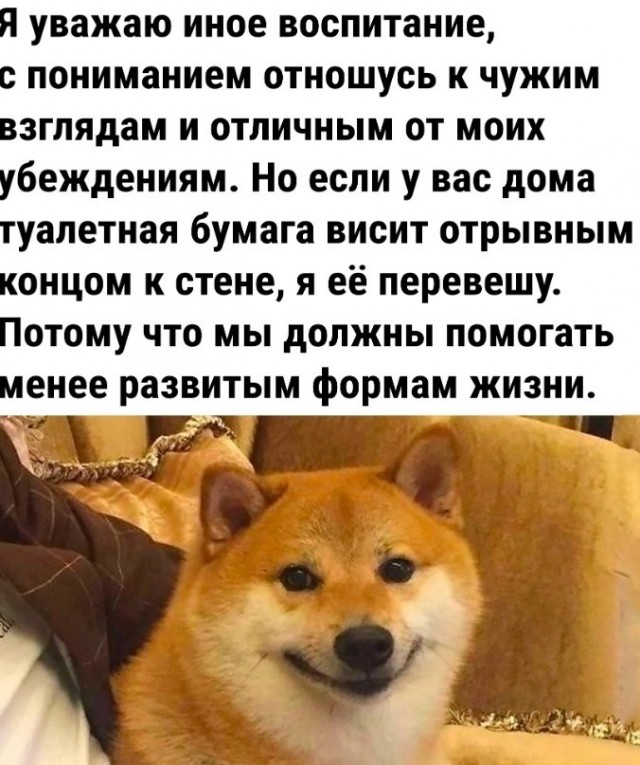 Мемчики и картинки для настроения и подумать