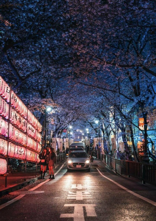 ФотоВинегрет