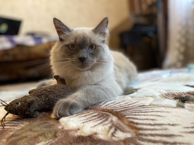 Огонь и тьма