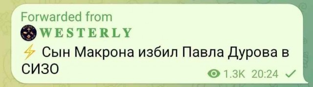 Российским чиновникам пришло поручение удалить служебные переписки в Telegram