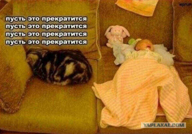 Немного картинок натыренных в ТГ