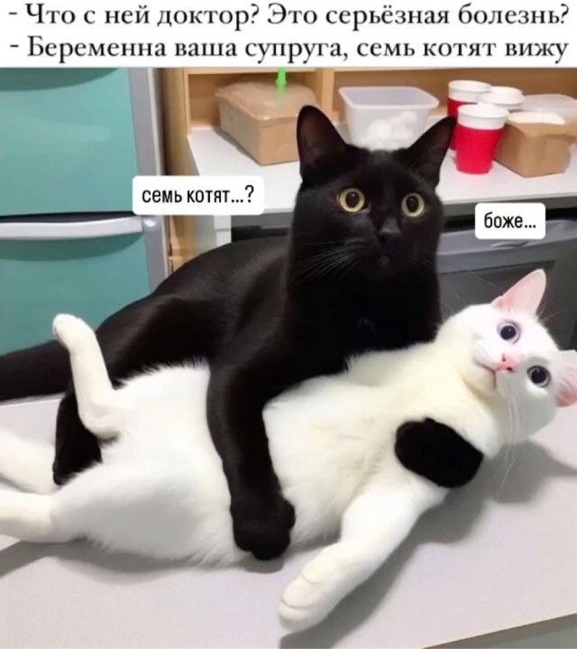 Завалялось тут случайно немного забавных картинок
