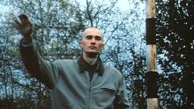 Давайте не будем мешать, а просто понаблюдаем за ними