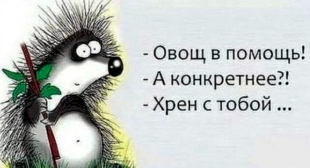 Веселые картинки в пятницу 25.02