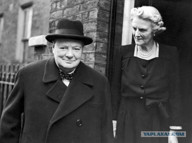 Премьер или дворник