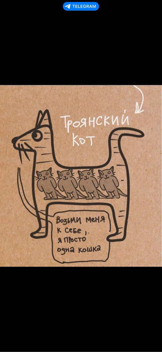 К котовторнику: подборка картинок-баянов с котиками и про котиков. Выпуск 10