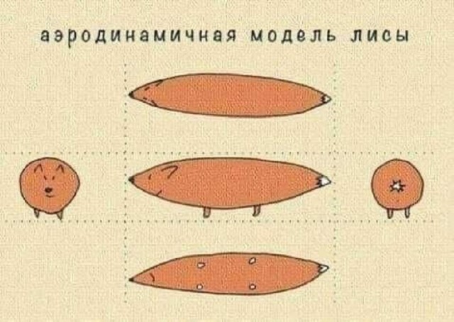 Так себе картинки 13.06.25