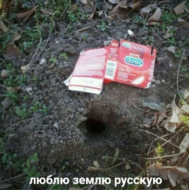 Так себе картинки 09.07.25