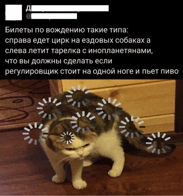 Картинки для бодрости духа