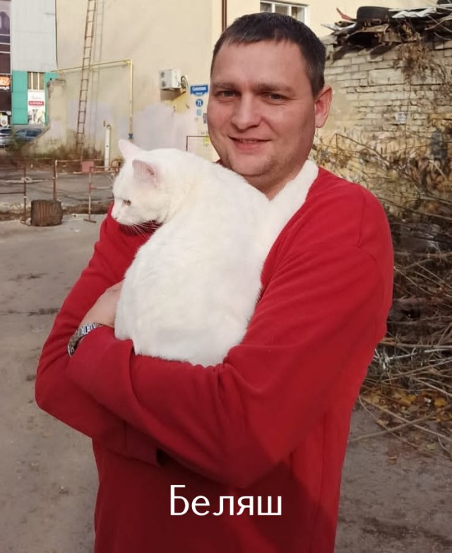 Жизнь домашнего приюта "Котоленд" 518
