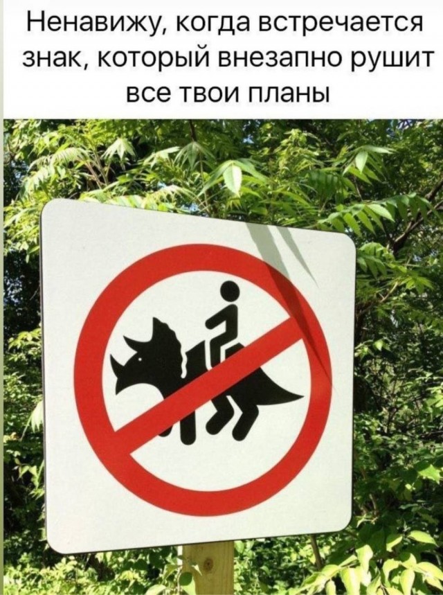 Четверг в картинках