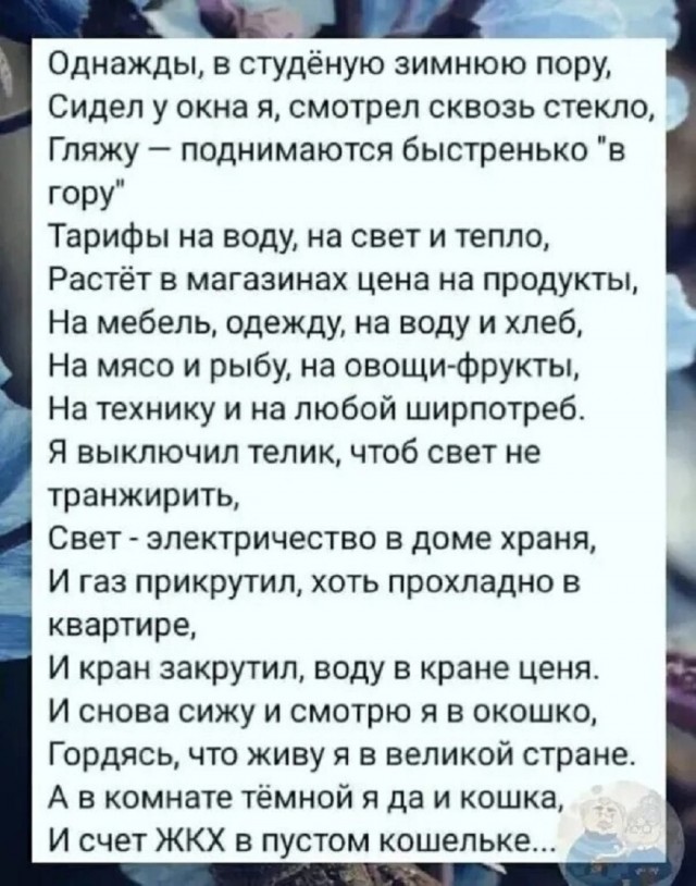 Так себе картинки 29.12.25