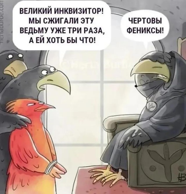 Так себе картинки 31.12.25