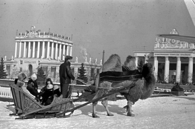 Фотографии из прошлого нашей страны – 136