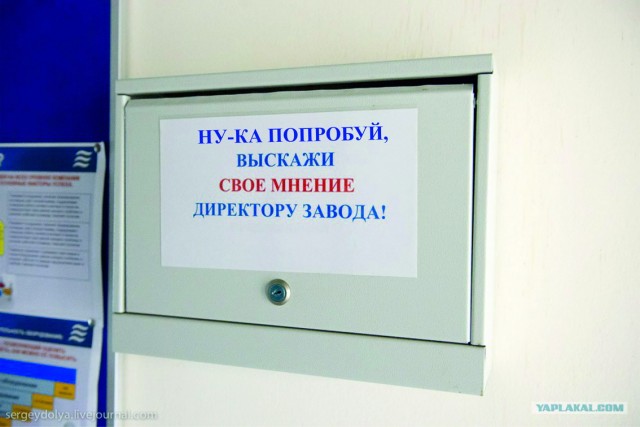 Безалкогольное пиво