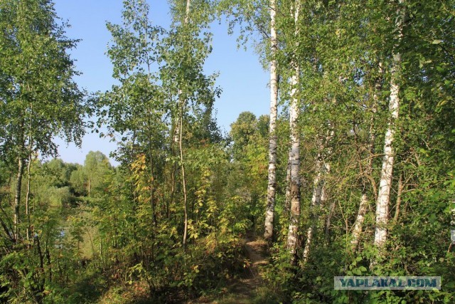 Фотоотчёт. Ивановская область.