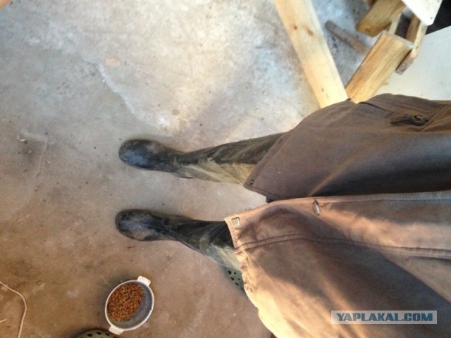 Чем еще могут заниматься IT-шники