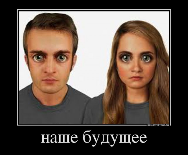 Держи дерево!