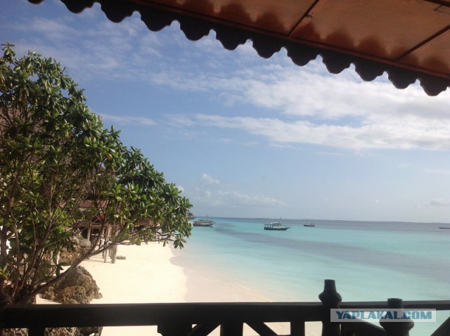 Как я съездил на Сейшелы