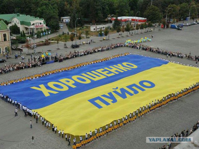 Европа, смотри как тебя будут убивать!