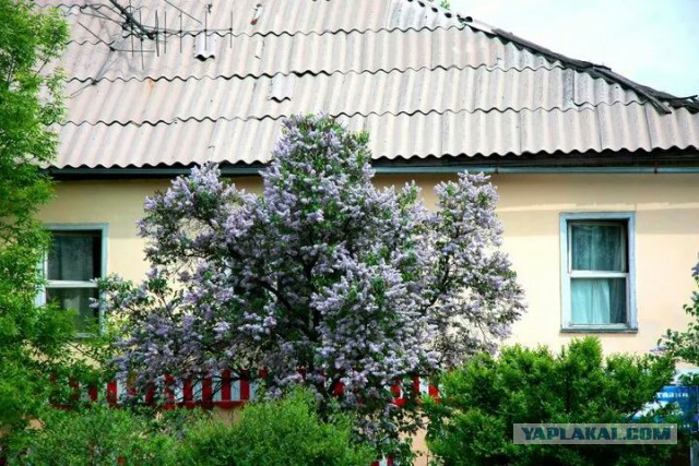 Алматы Жемчужина Казахстана!