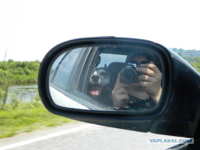 Бухта Теляковского