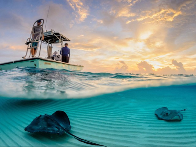 10 уникальных полуподводных фотографий