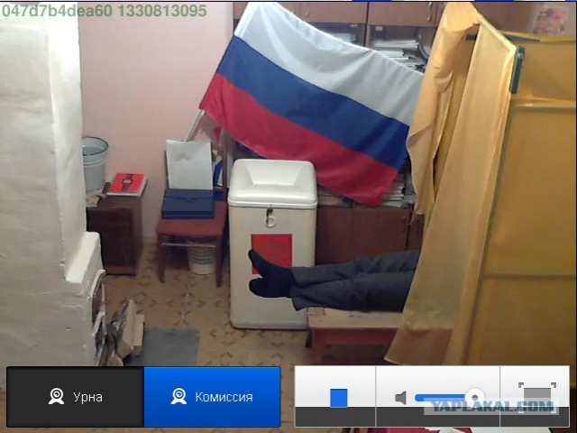 Веб-камеры на избирательных участках