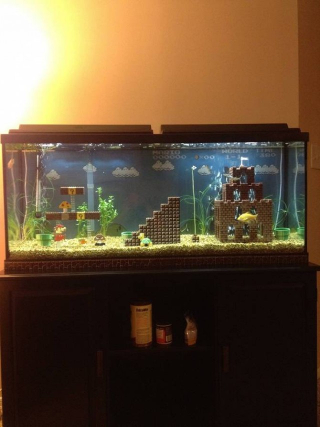 Креативный аквариум в стиле Марио